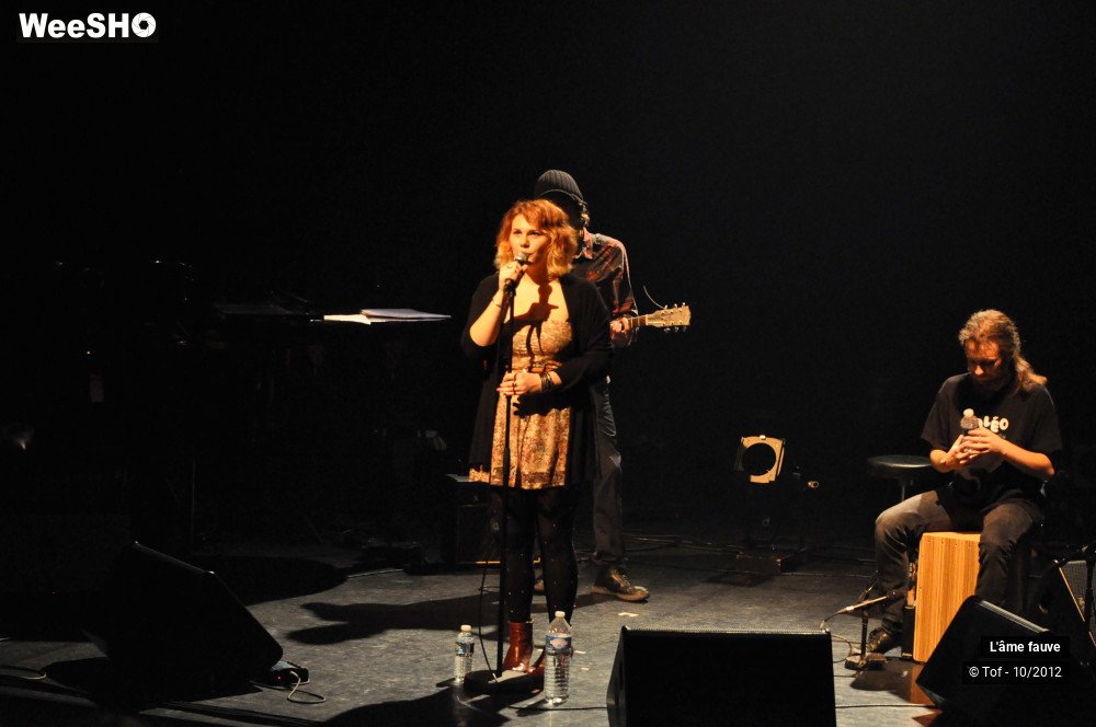 13/25 photos du spectacle L'âme fauve