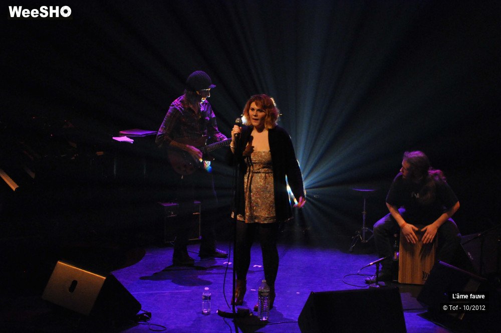 14/25 photos du spectacle L'âme fauve