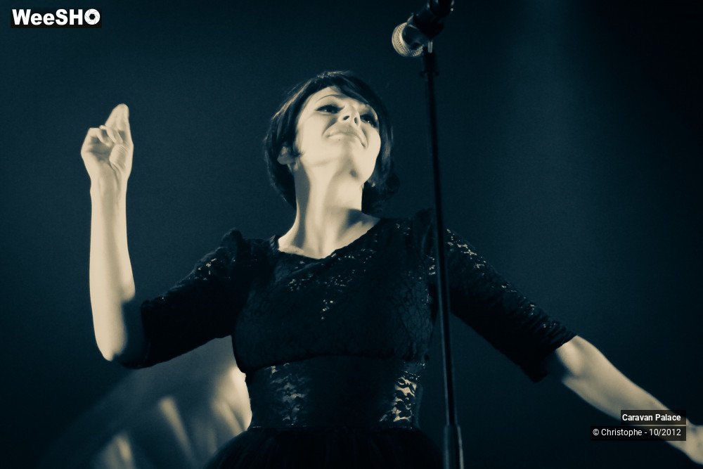 7/44 photos du spectacle Caravan Palace