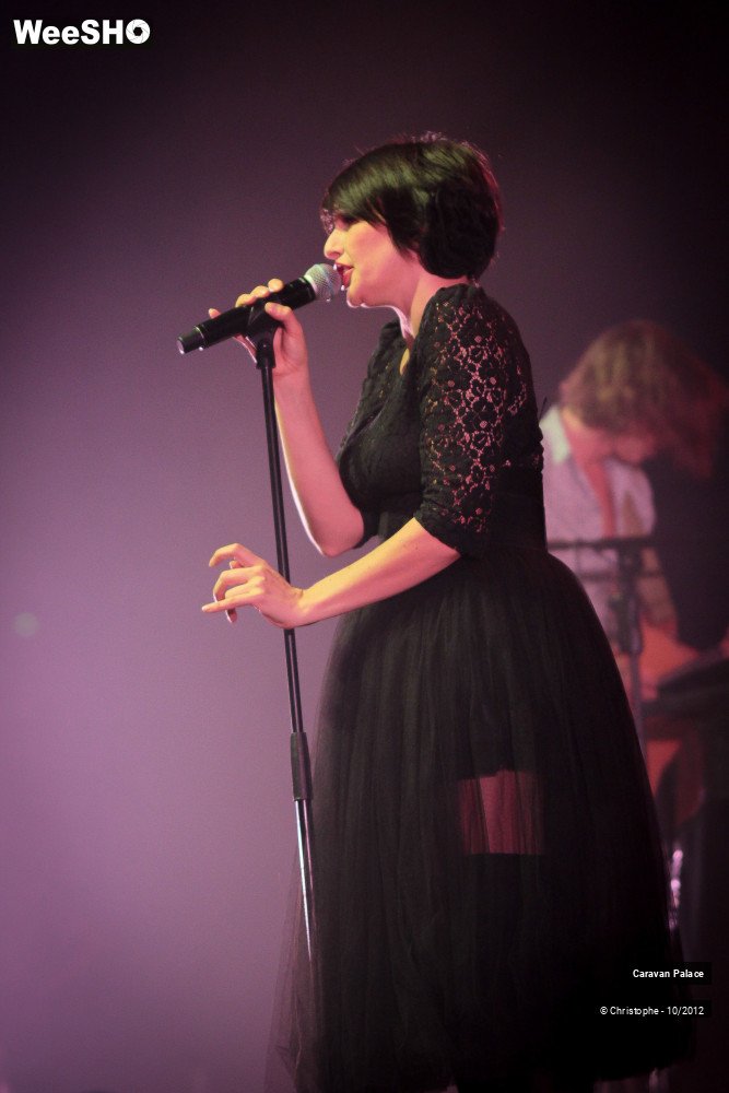 28/44 photos du spectacle Caravan Palace