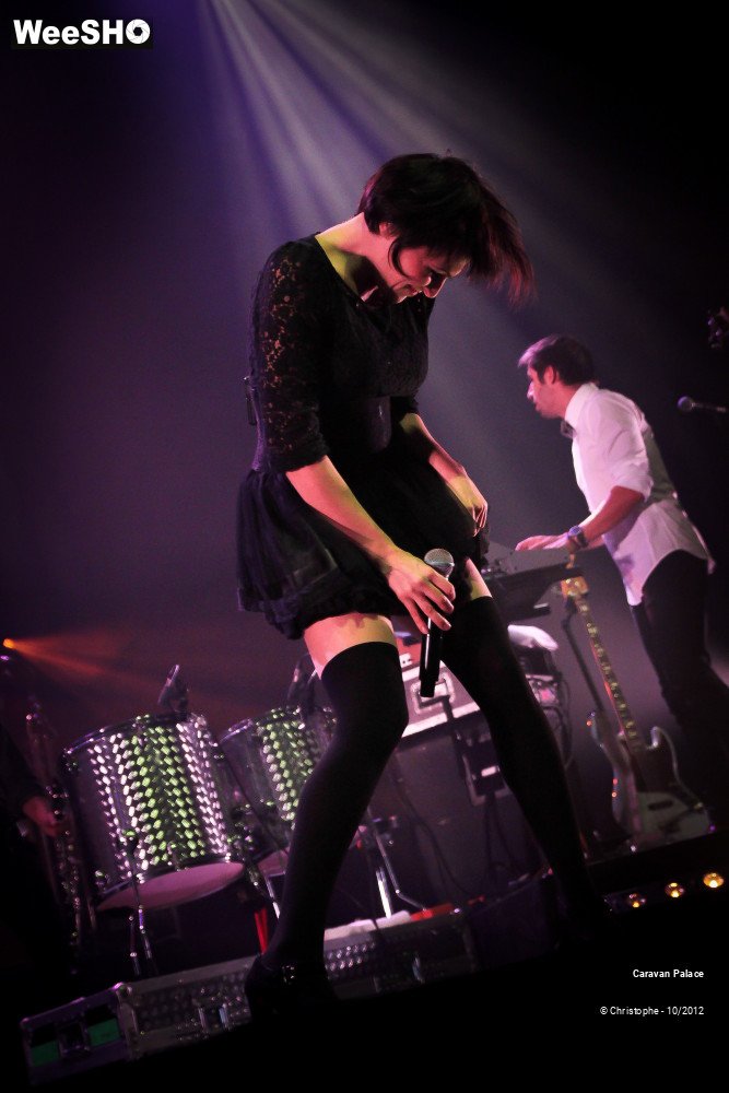 30/44 photos du spectacle Caravan Palace