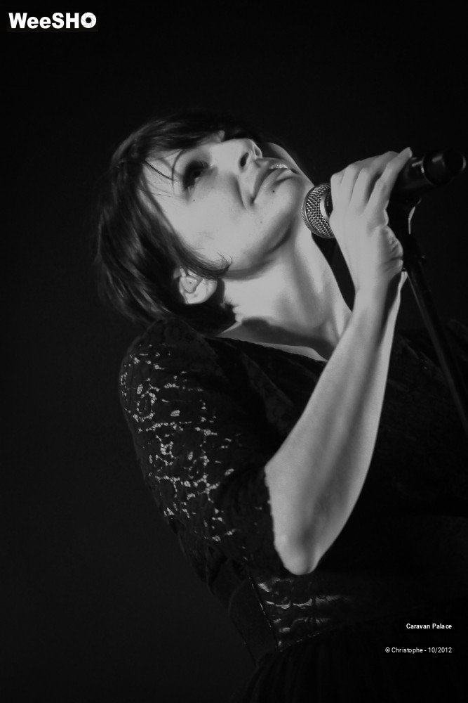44/44 photos du spectacle Caravan Palace