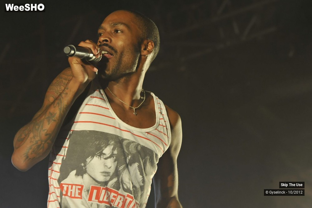1/29 photos du spectacle Skip The Use