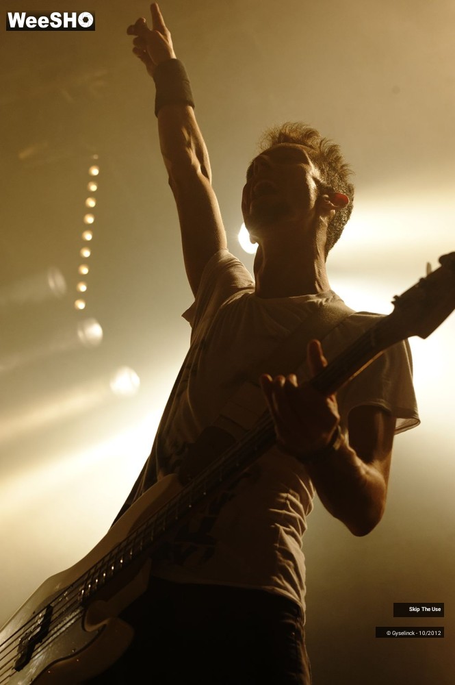 11/29 photos du spectacle Skip The Use
