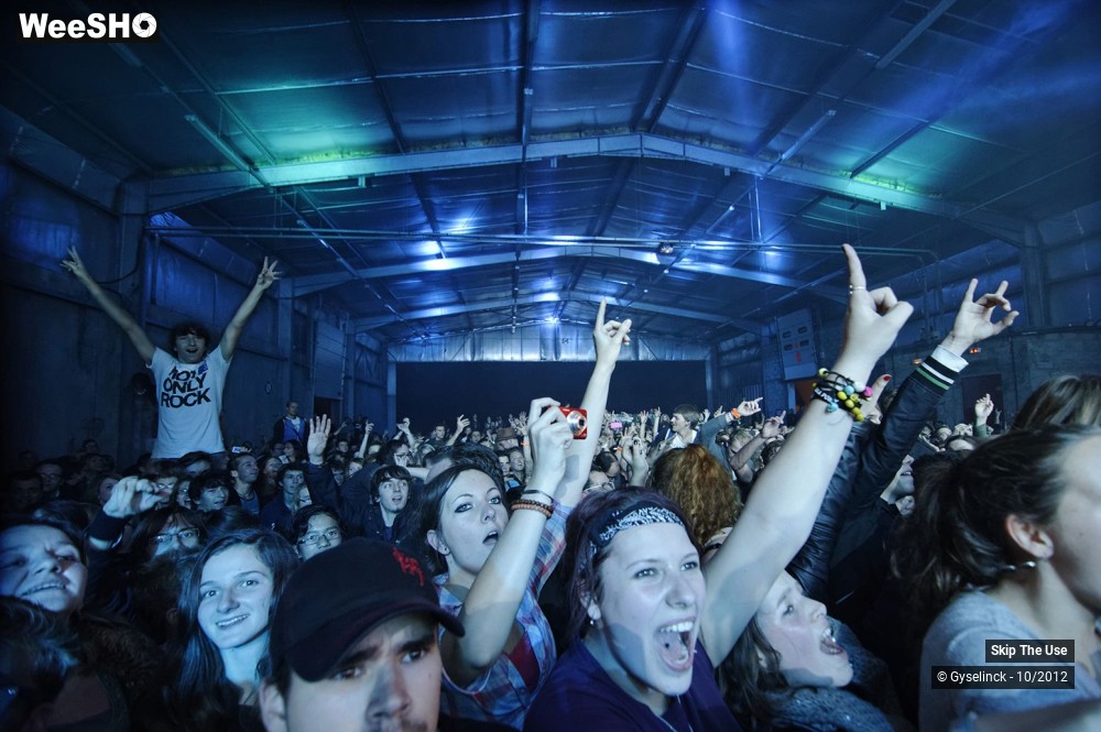 16/29 photos du spectacle Skip The Use