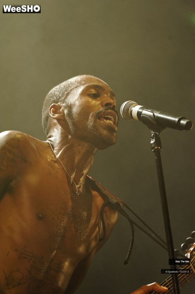 21/29 photos du spectacle Skip The Use