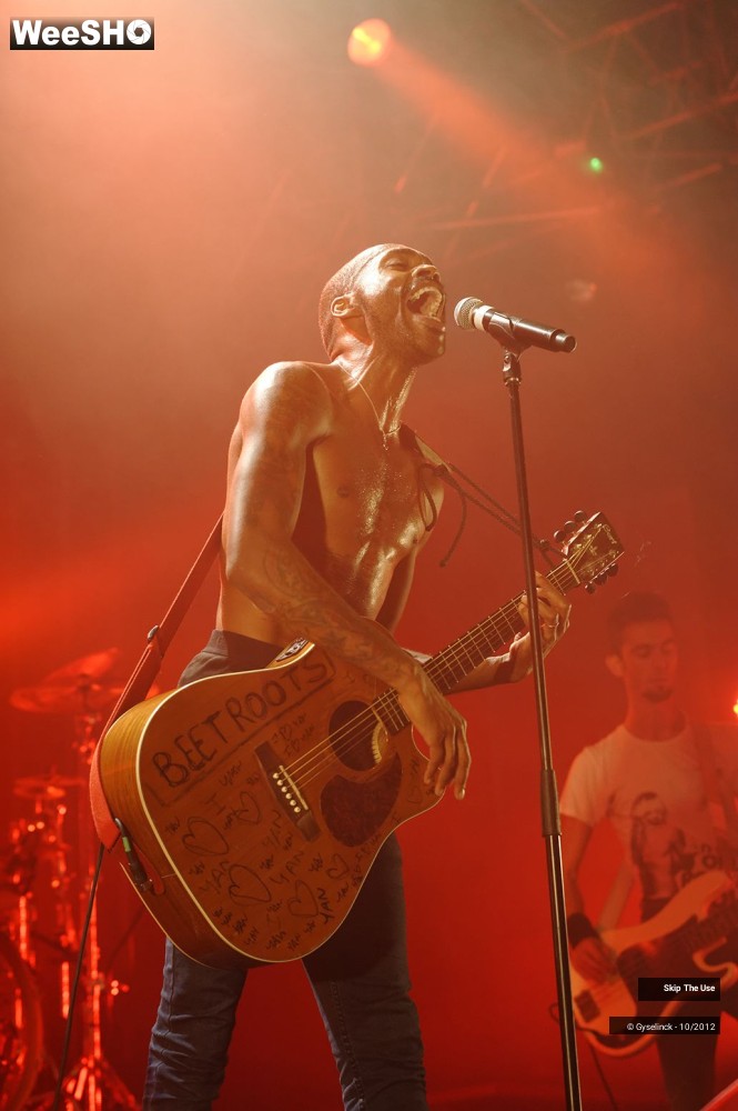 22/29 photos du spectacle Skip The Use