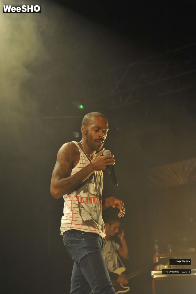 24/29 photos du spectacle Skip The Use