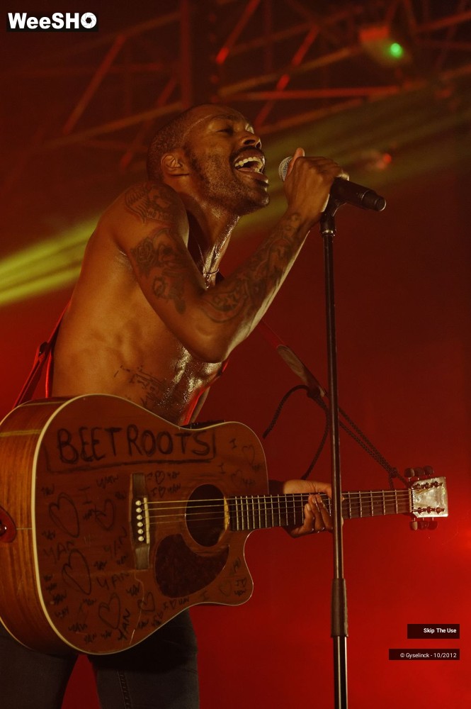 25/29 photos du spectacle Skip The Use