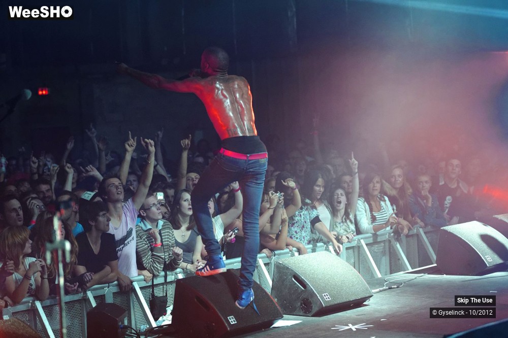 26/29 photos du spectacle Skip The Use