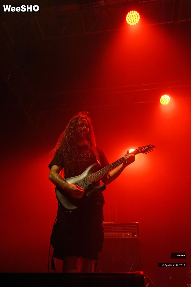 6/24 photos du spectacle Manimal