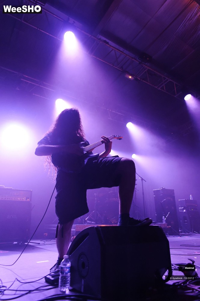 8/24 photos du spectacle Manimal