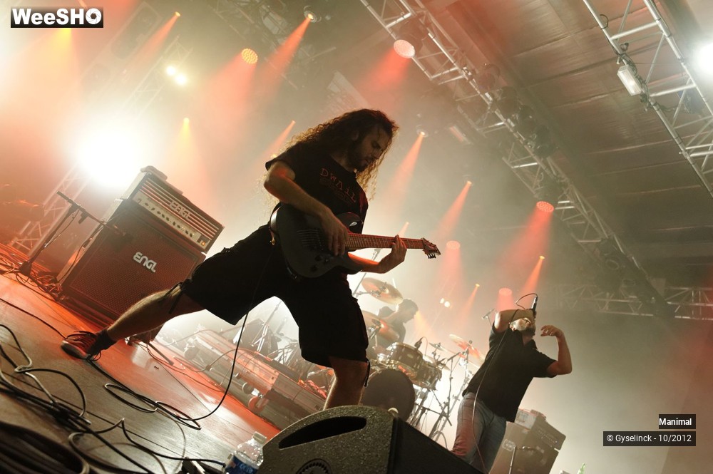 16/24 photos du spectacle Manimal