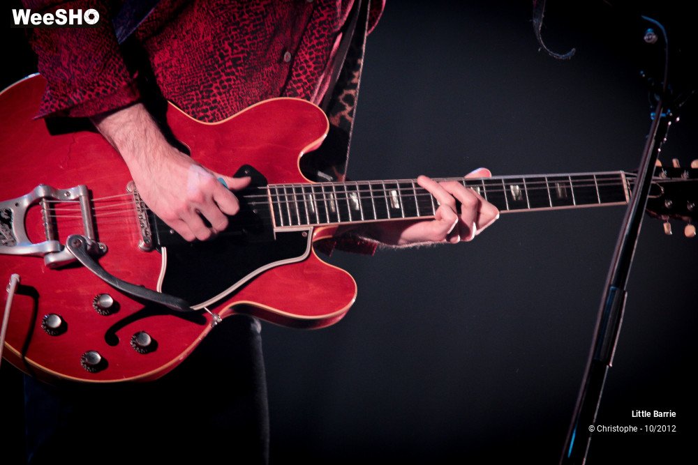 8/36 photos du spectacle Little Barrie