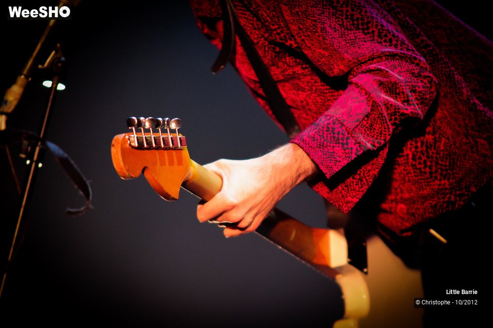13/36 photos du spectacle Little Barrie