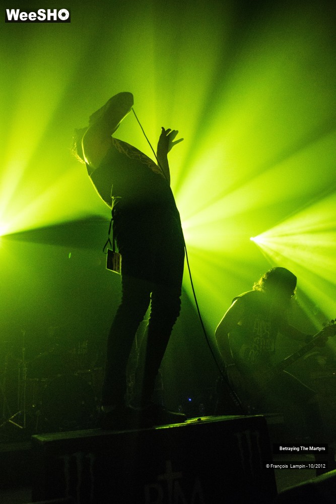 25/50 photos du spectacle Betraying The Martyrs
