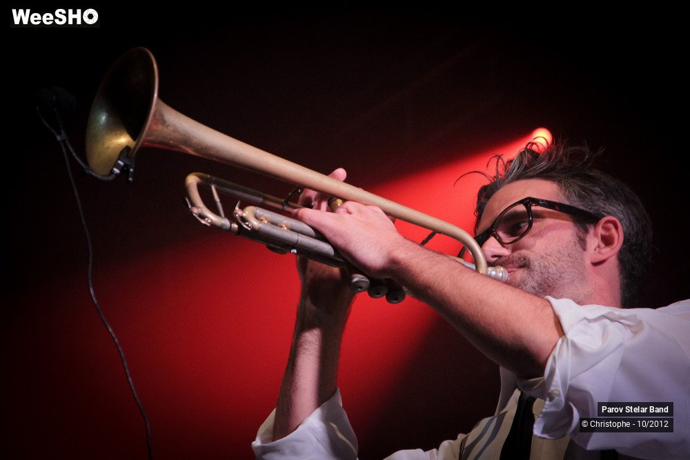 7/38 photos du spectacle Parov Stelar Band