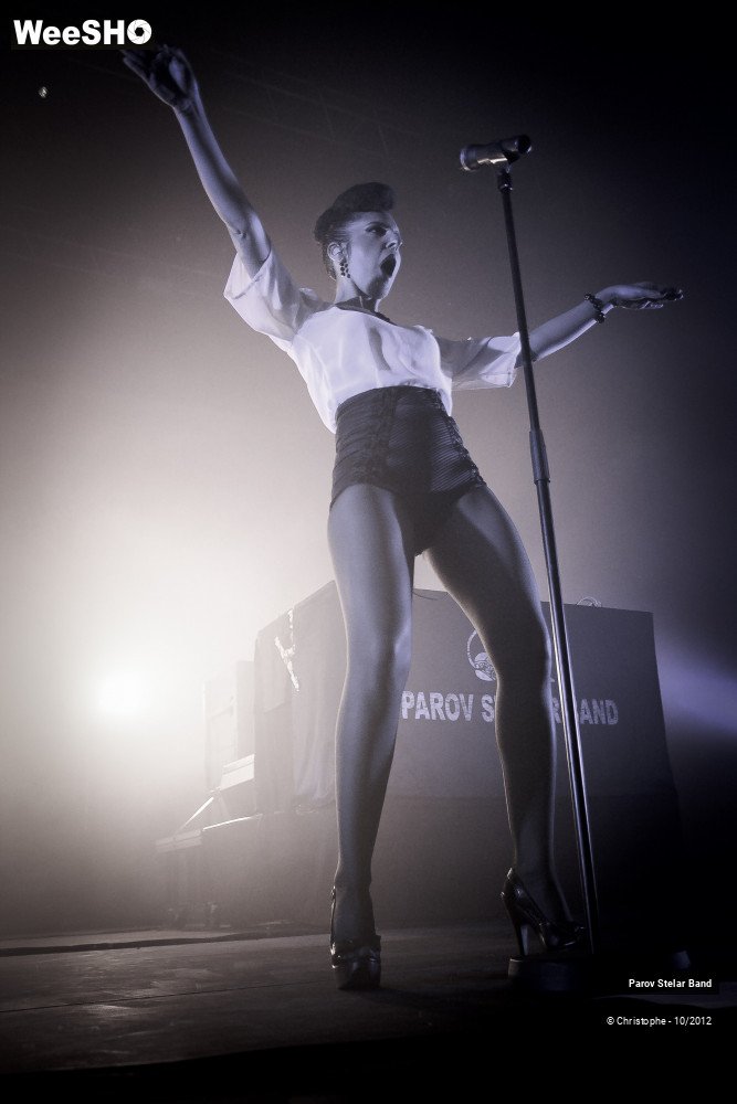 31/38 photos du spectacle Parov Stelar Band