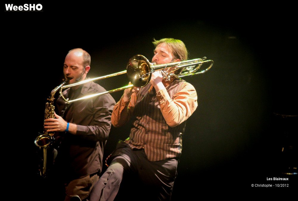 8/49 photos du spectacle Les Blaireaux