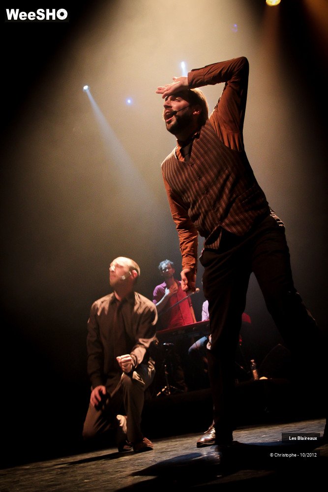 23/49 photos du spectacle Les Blaireaux
