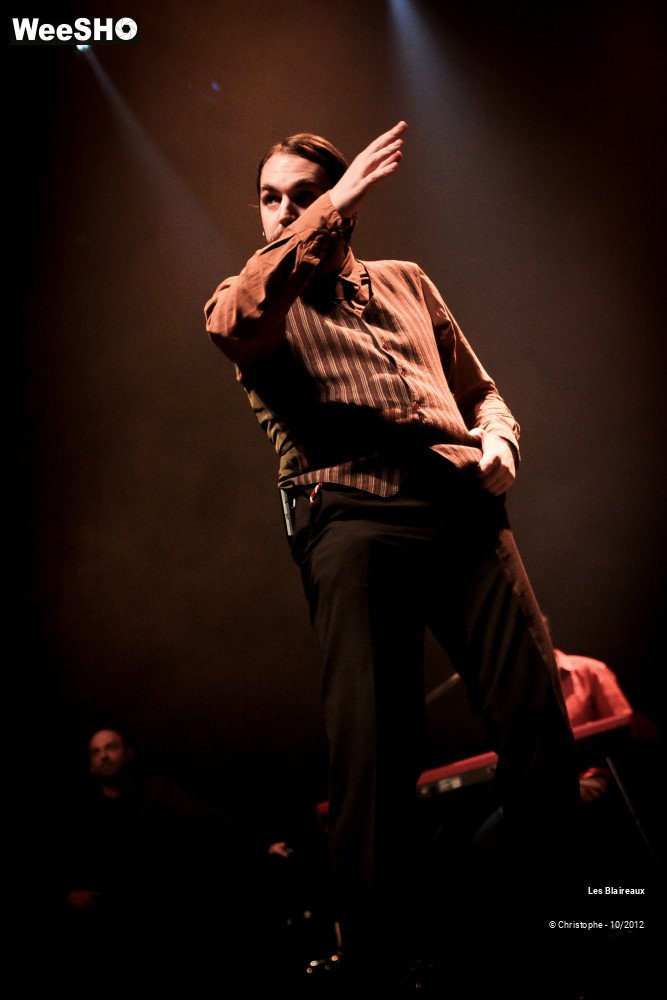 38/49 photos du spectacle Les Blaireaux
