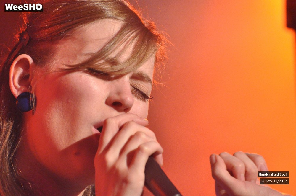 8/50 photos du spectacle Handcrafted Soul