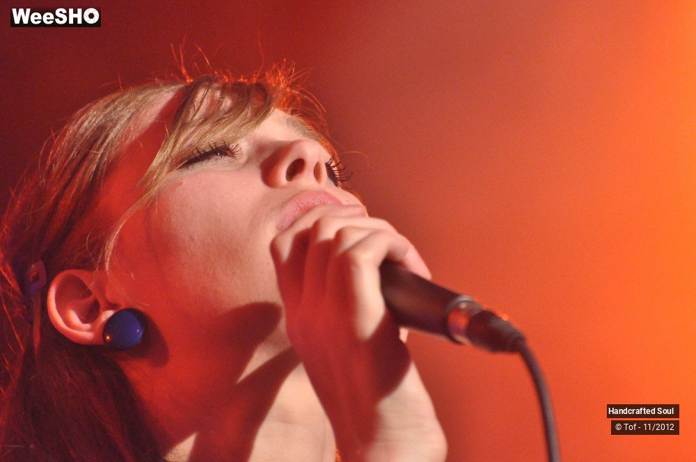 25/50 photos du spectacle Handcrafted Soul