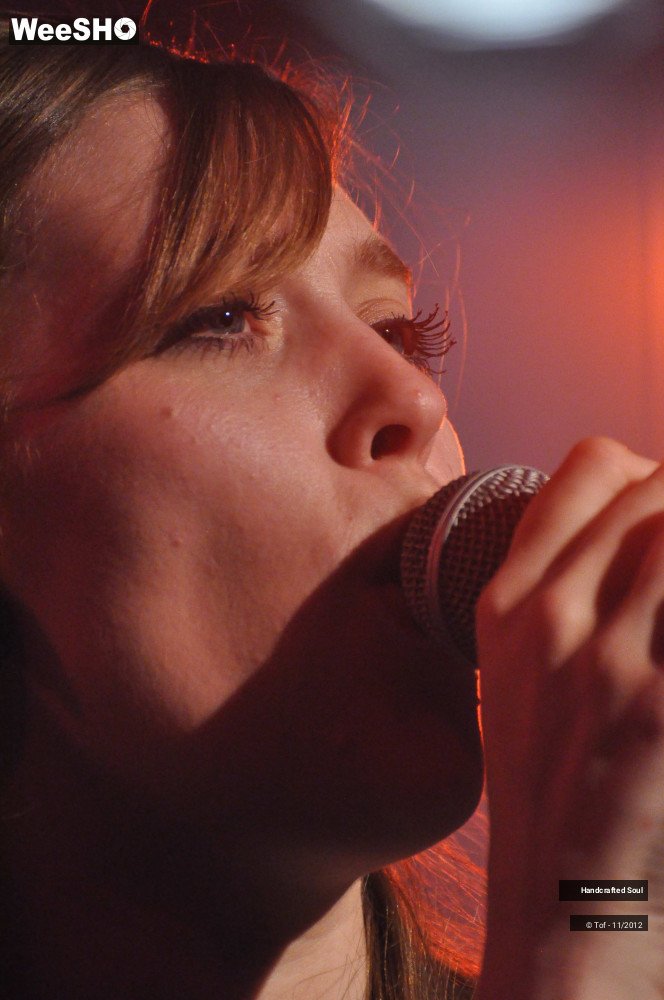 34/50 photos du spectacle Handcrafted Soul