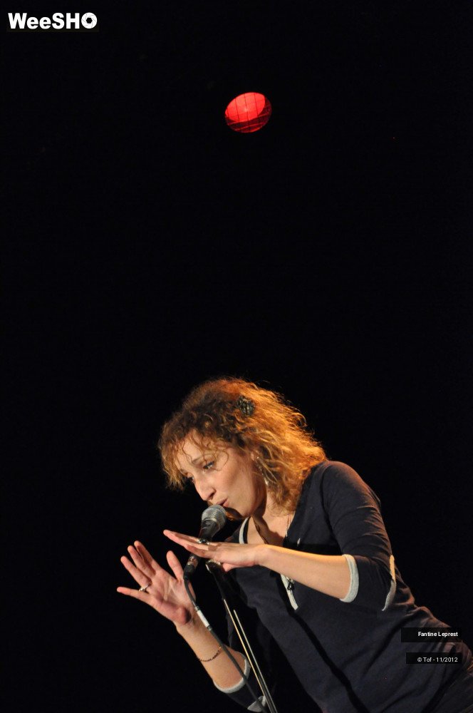 33/38 photos du spectacle Fantine