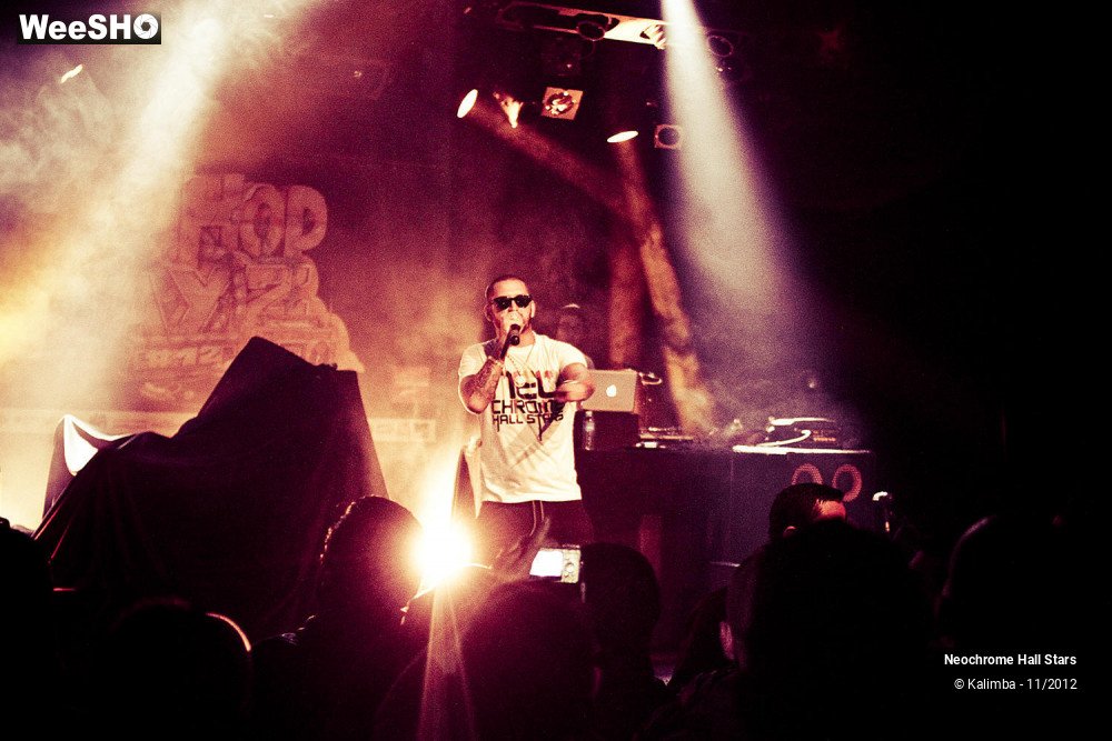 5/42 photos du spectacle Neochrome Hall Stars