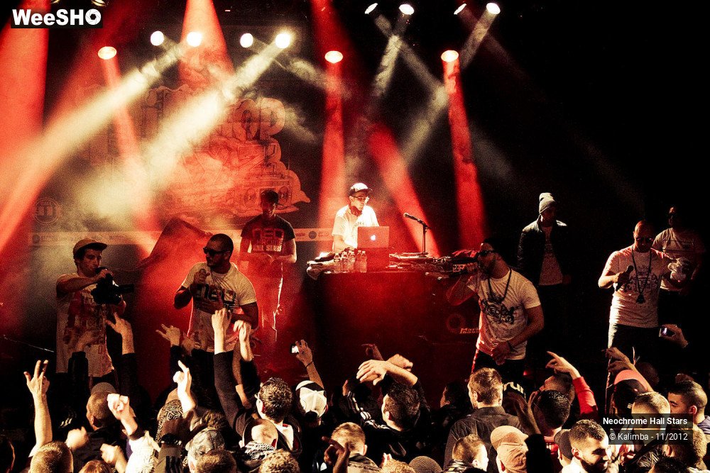 7/42 photos du spectacle Neochrome Hall Stars