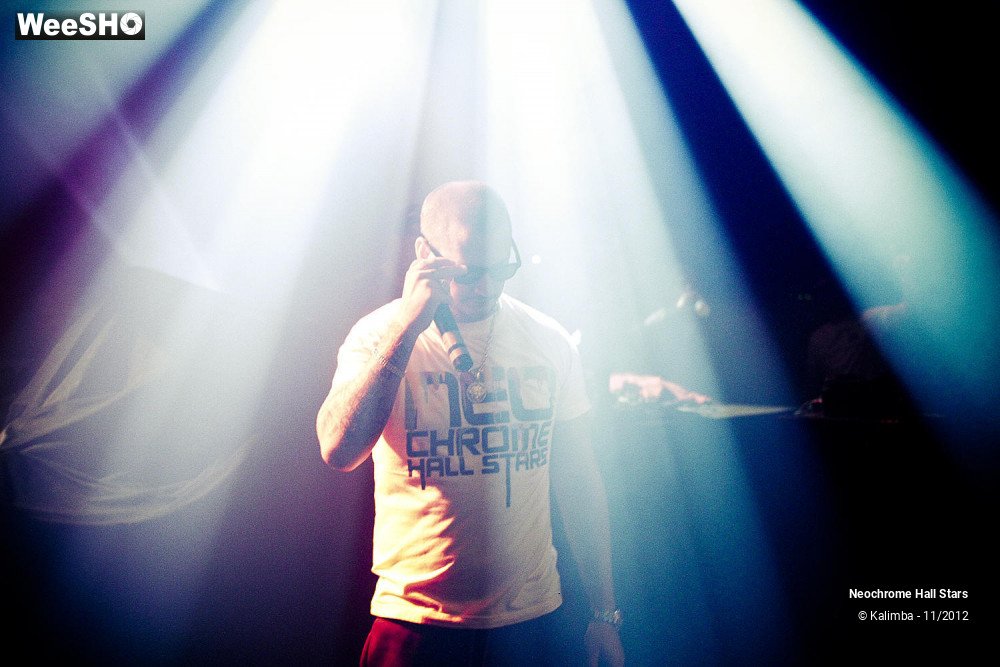 8/42 photos du spectacle Neochrome Hall Stars