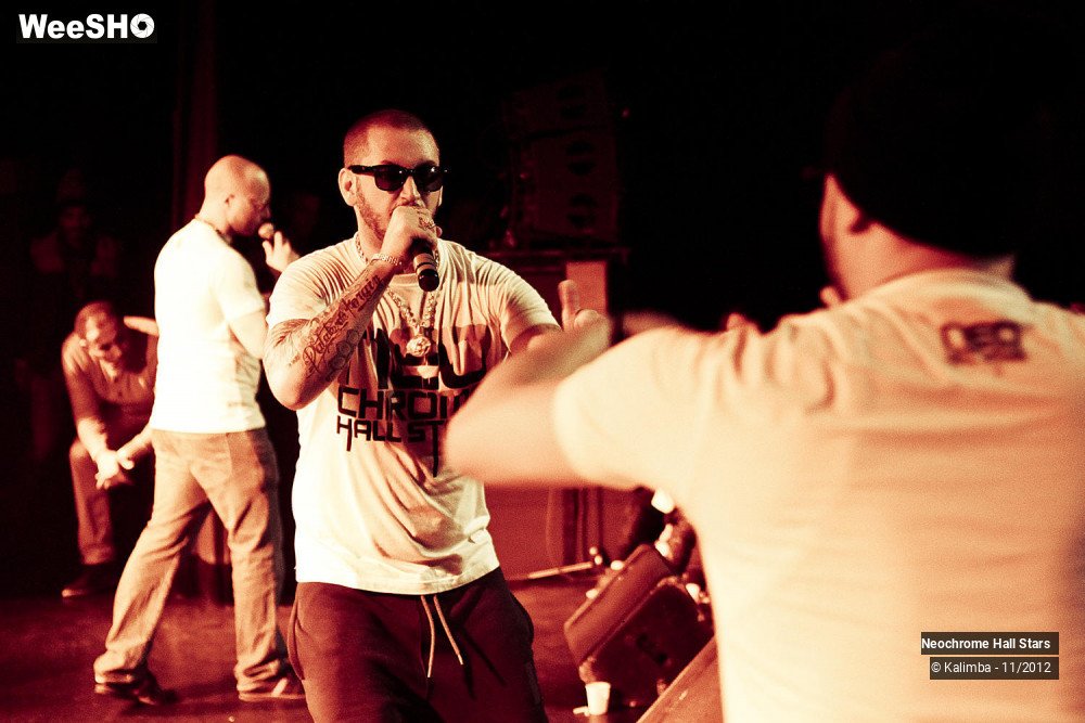 13/42 photos du spectacle Neochrome Hall Stars