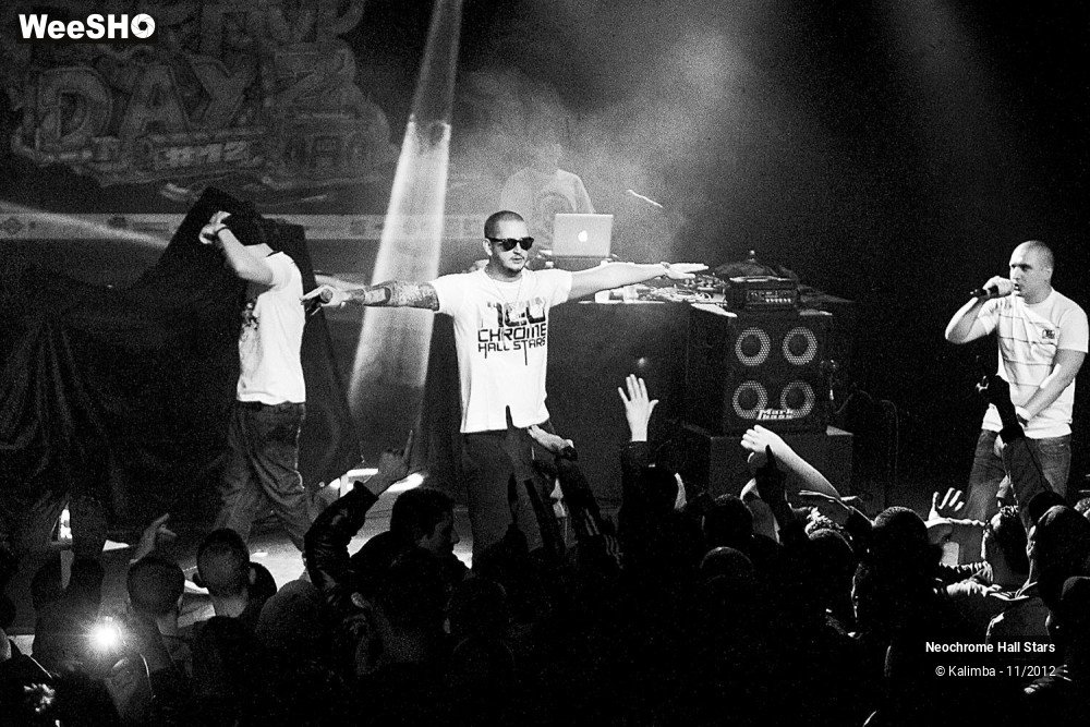 16/42 photos du spectacle Neochrome Hall Stars