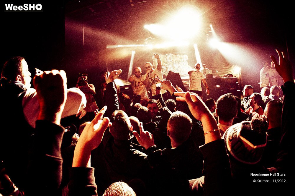 20/42 photos du spectacle Neochrome Hall Stars