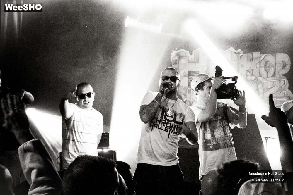 21/42 photos du spectacle Neochrome Hall Stars