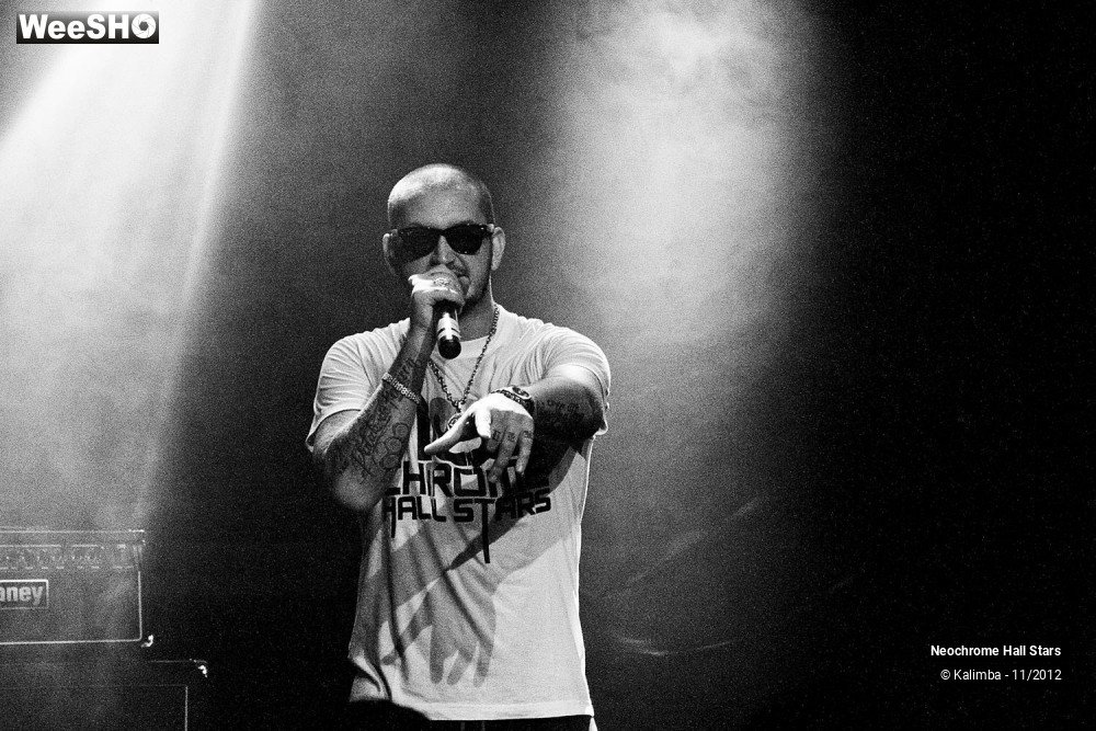 23/42 photos du spectacle Neochrome Hall Stars