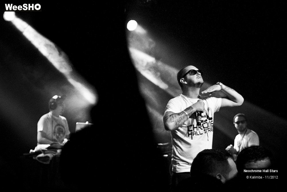 26/42 photos du spectacle Neochrome Hall Stars