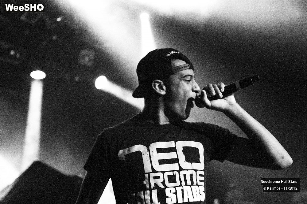 31/42 photos du spectacle Neochrome Hall Stars