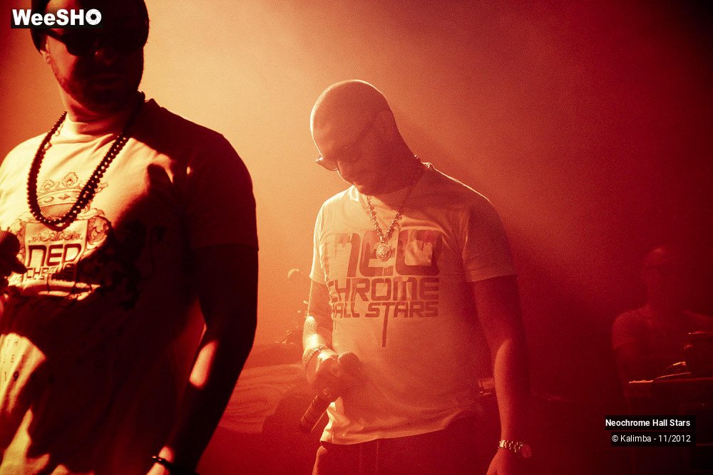 33/42 photos du spectacle Neochrome Hall Stars