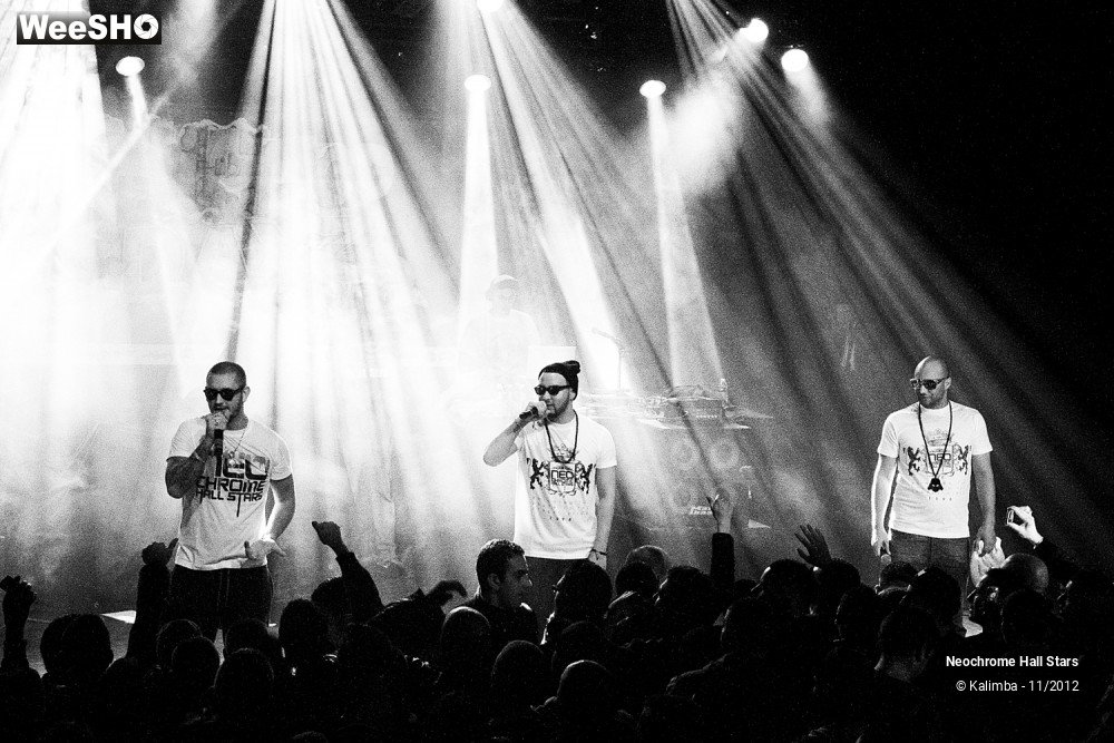34/42 photos du spectacle Neochrome Hall Stars