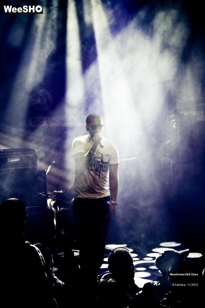 35/42 photos du spectacle Neochrome Hall Stars