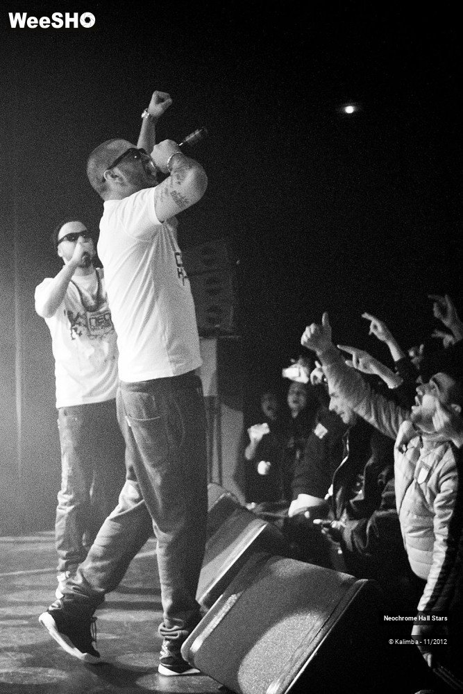 36/42 photos du spectacle Neochrome Hall Stars