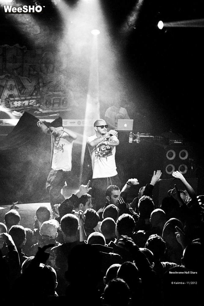 37/42 photos du spectacle Neochrome Hall Stars