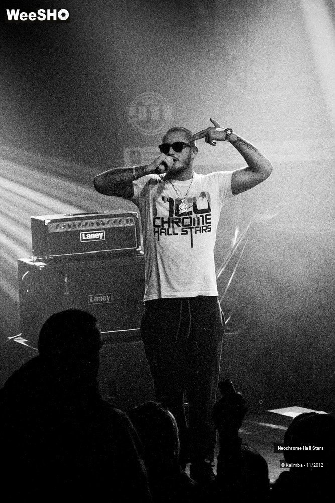 38/42 photos du spectacle Neochrome Hall Stars