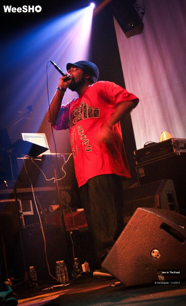 17/29 photos du spectacle Jam in the Band