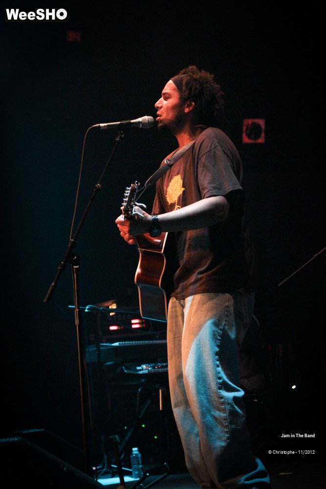 29/29 photos du spectacle Jam in the Band