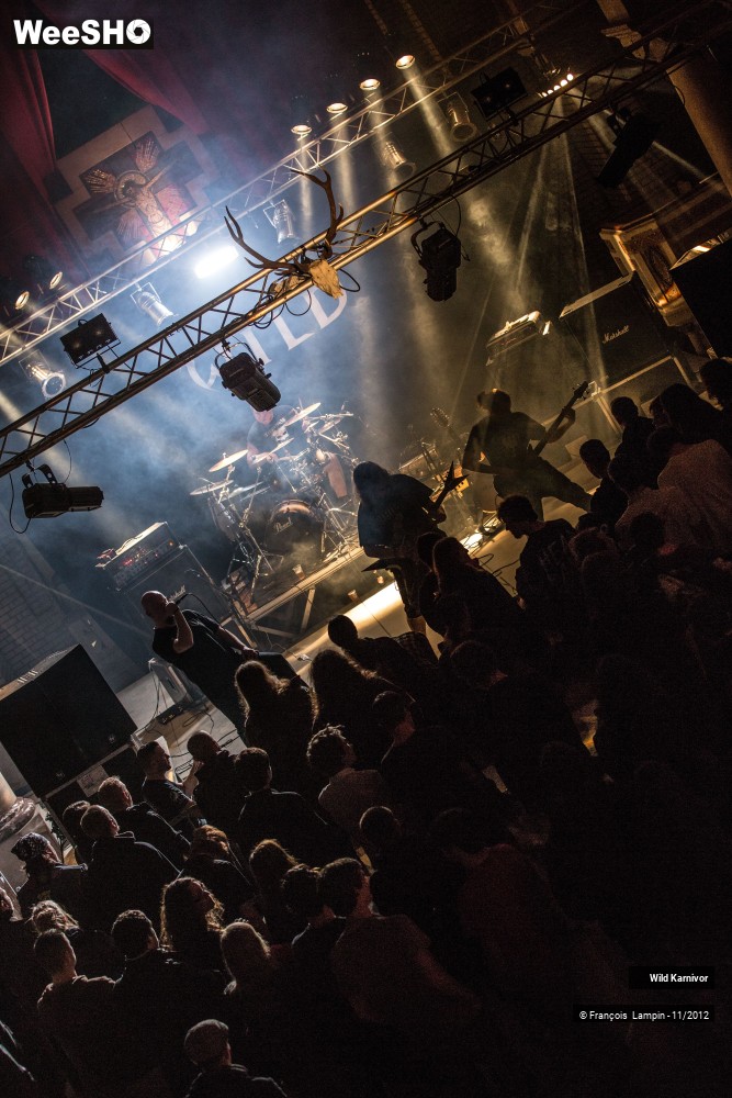 8/40 photos du spectacle Wild