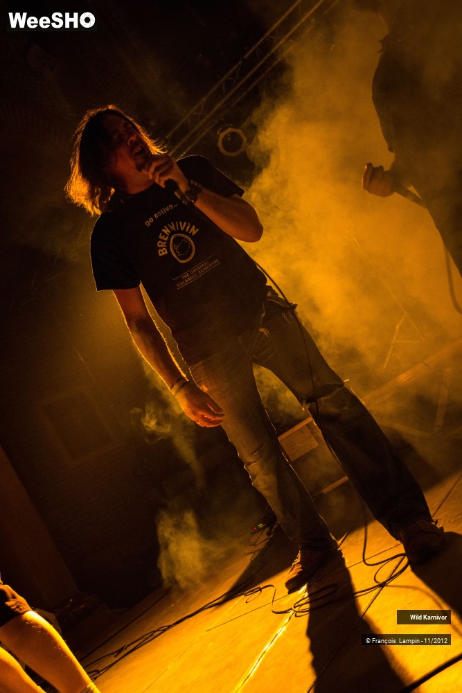 10/40 photos du spectacle Wild