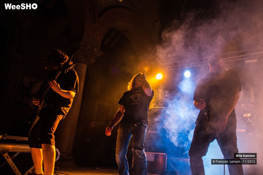13/40 photos du spectacle Wild